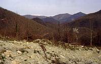 Вдали - снежная полоска Главного Кавказского хребта